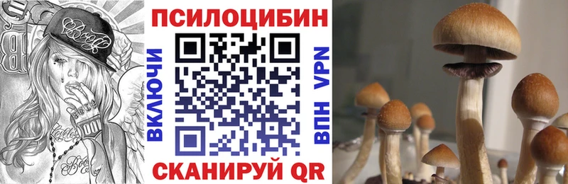 Галлюциногенные грибы мицелий  Пущино 